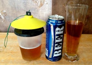 A bal oldalit isszák a darazsak, a jobb oldali 'pikszis' jut nekem...