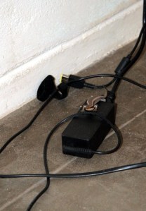 Gyík a laptoptöltőn, egy a sok közül...