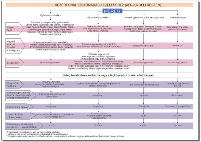 A vezérfonal magyar átirata (forrás: antivenom leaflet)